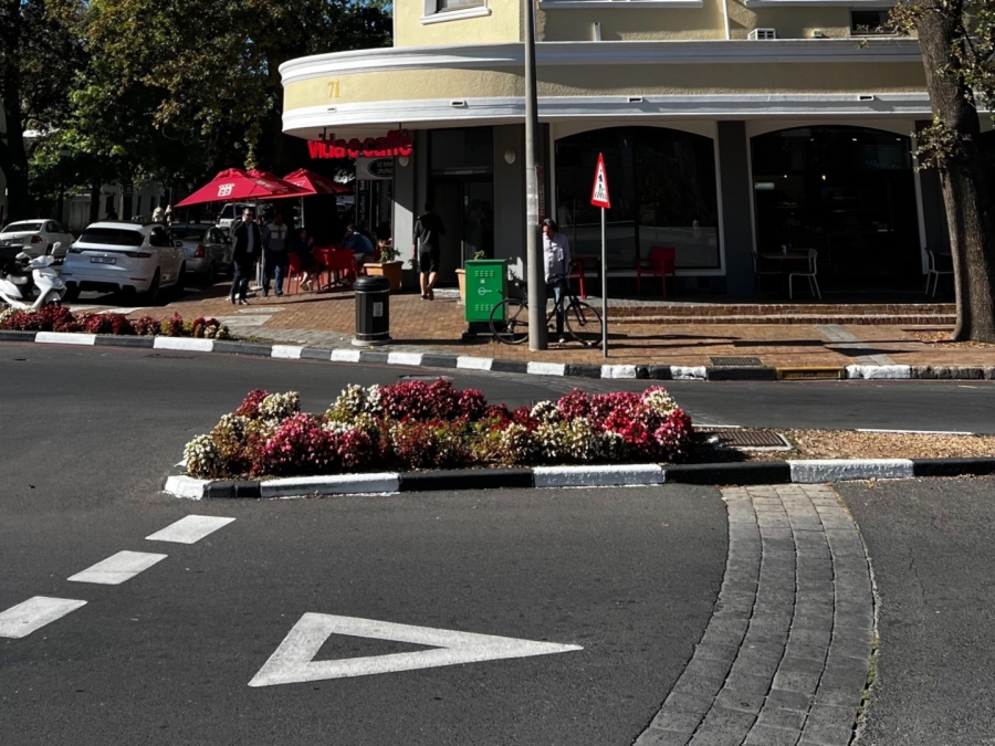 To Let commercial Property for Rent in Stellenbosch Central Western Cape